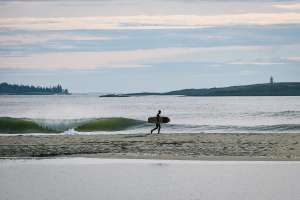 Grain Surfboards